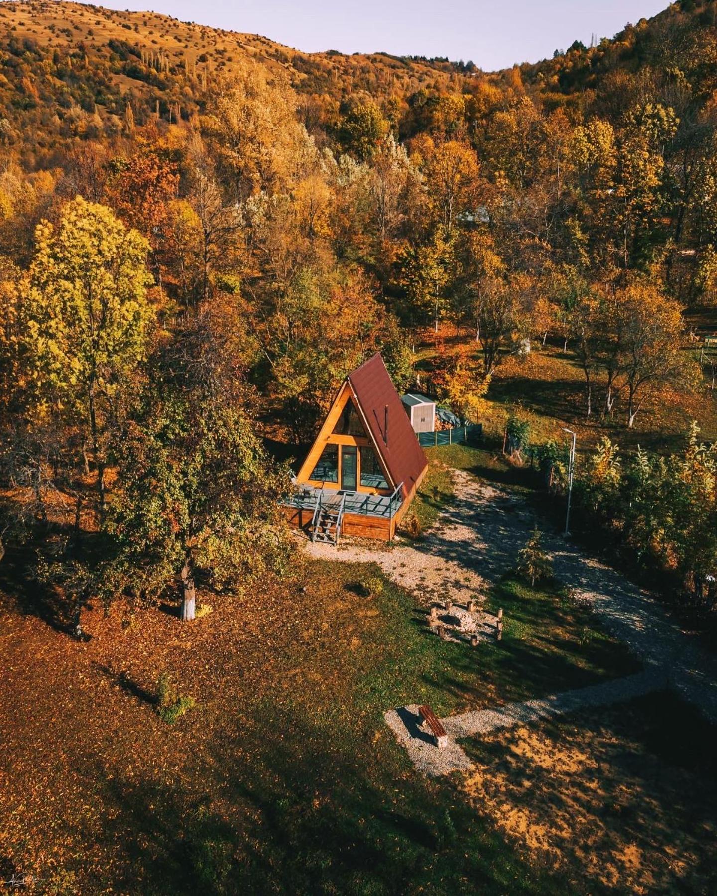 코마르닉 Casutele Din Poienita 빌라 외부 사진